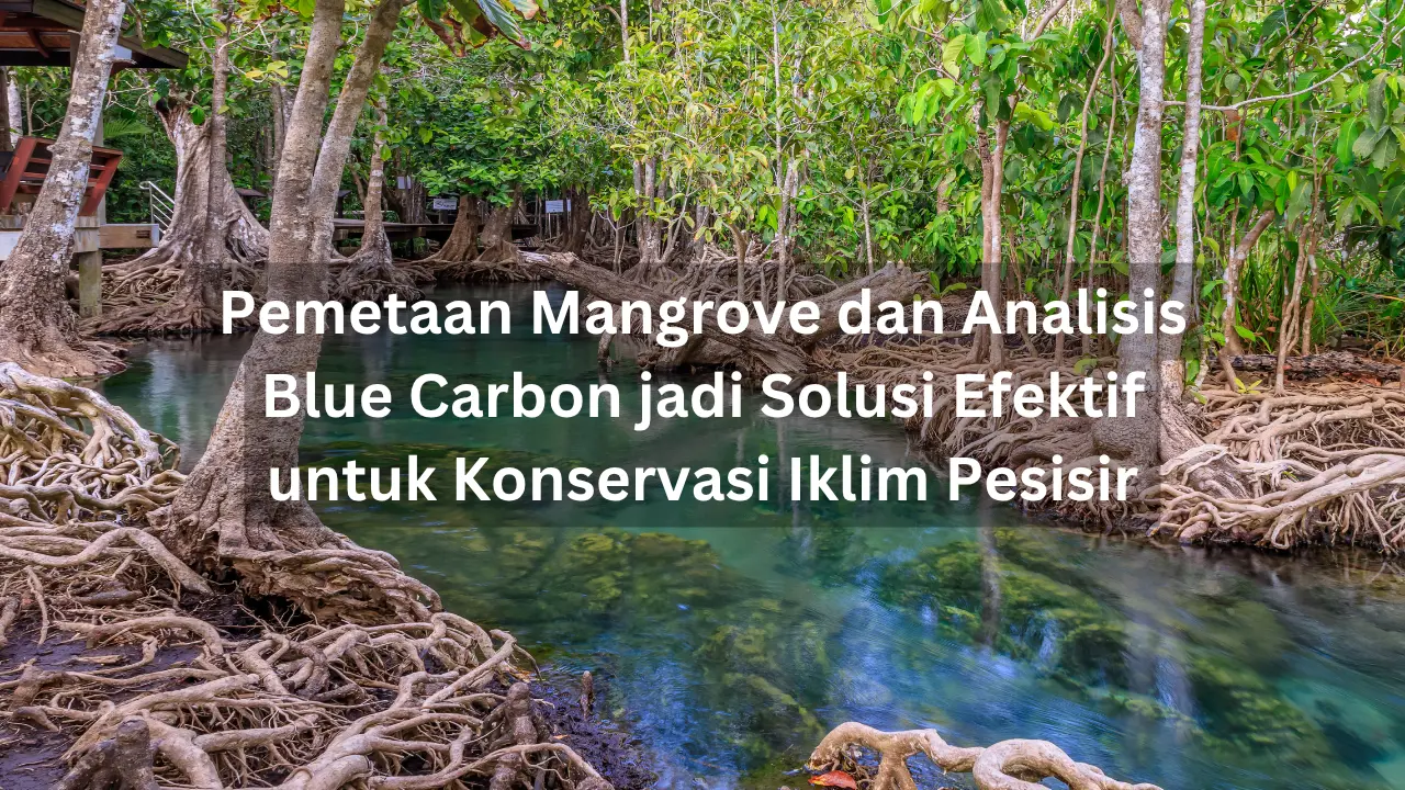 Pemetaan Mangrove dan Analisis Blue Carbon jadi Solusi Efektif untuk Konservasi Iklim Pesisir